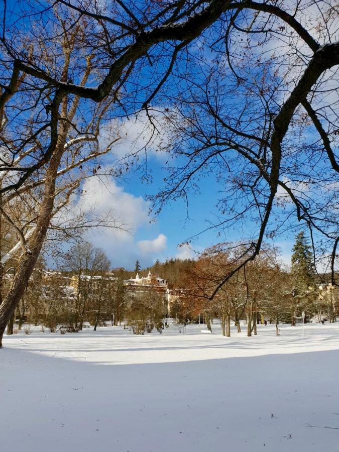 דירות Mariánské Lázně Residenz Emilia מראה חיצוני תמונה