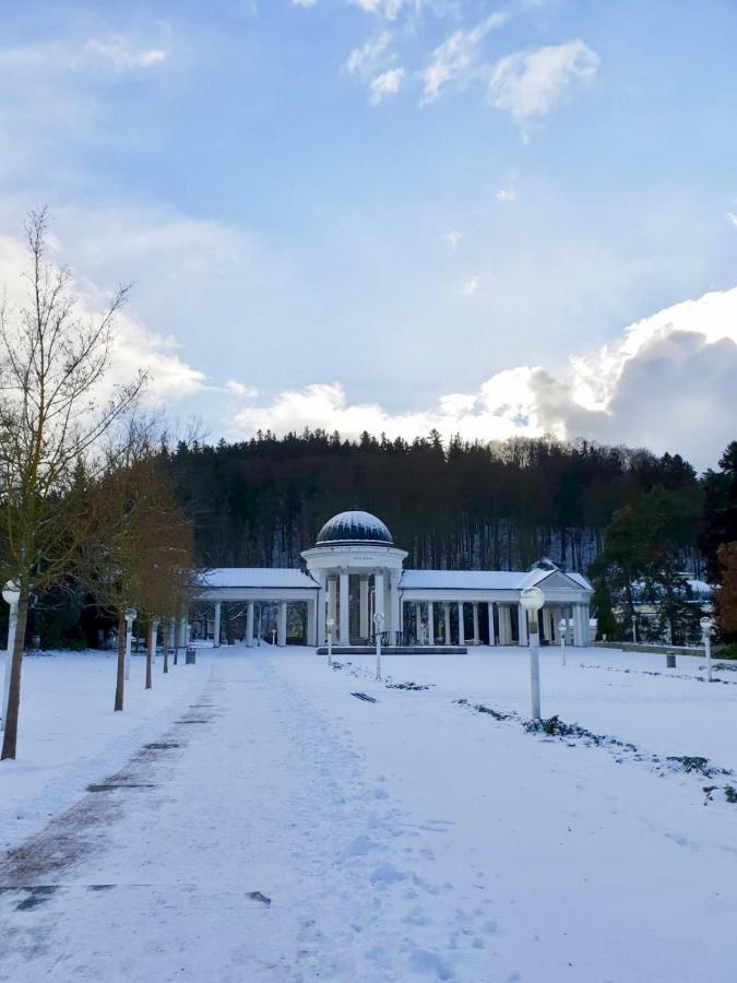 דירות Mariánské Lázně Residenz Emilia מראה חיצוני תמונה